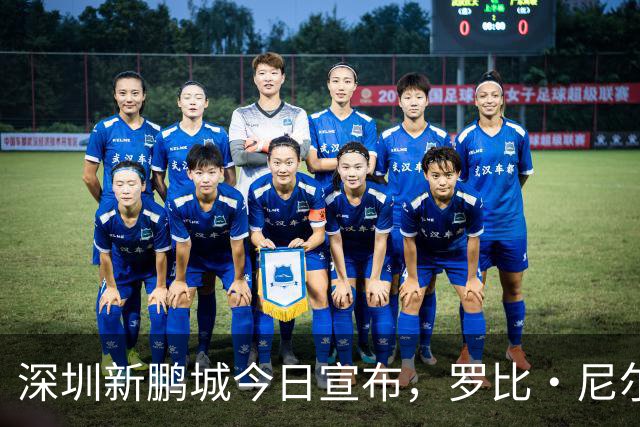 深圳新鹏城今日宣布，罗比·尼尔森即日起正式出任一线队主教练
